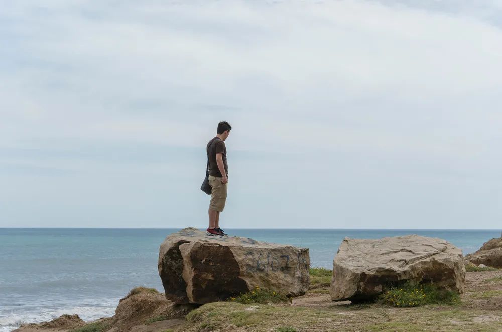 哈佛家训1-6册,哈佛家训100个智慧