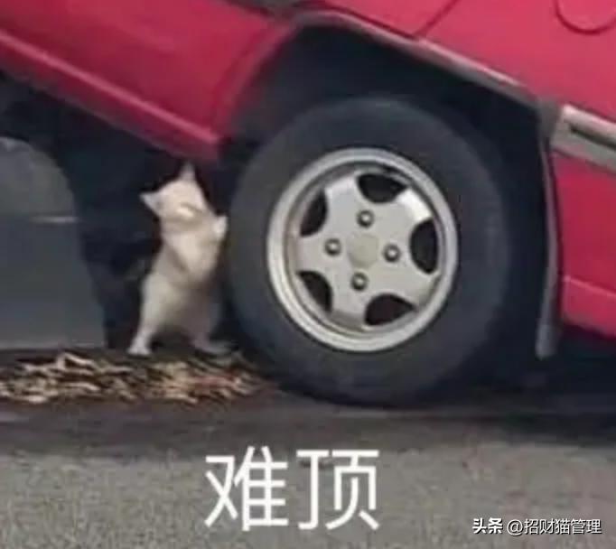 为什么要招商加盟,为什么招商难