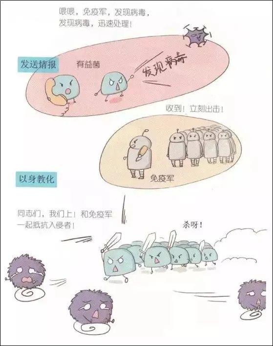 妇科炎症小知识,妇科炎症专用药