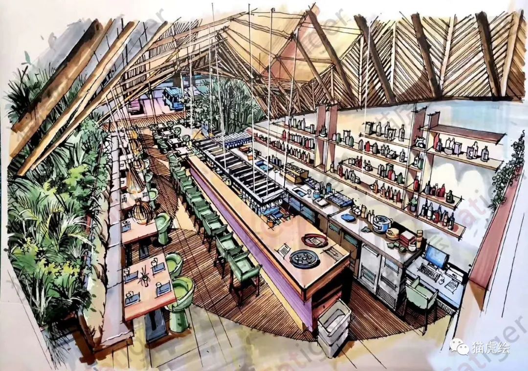 2022猫虎绘暑假手绘班招生简章「线上+线下」