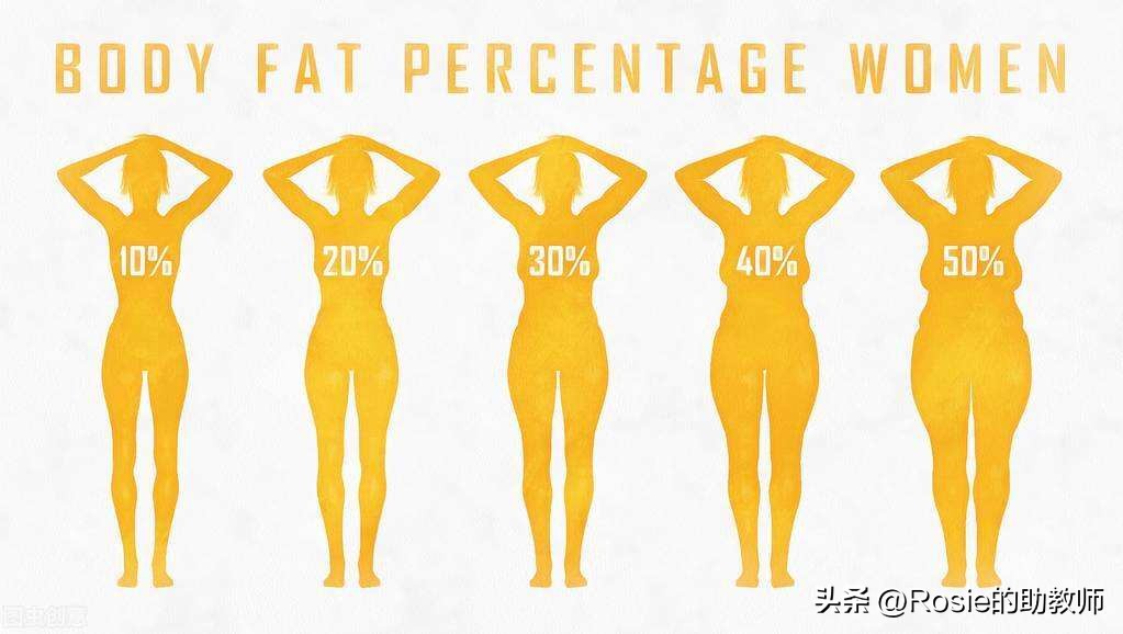 赵露思怎样练马甲线原视频,怎样拥有赵露思同款马甲线