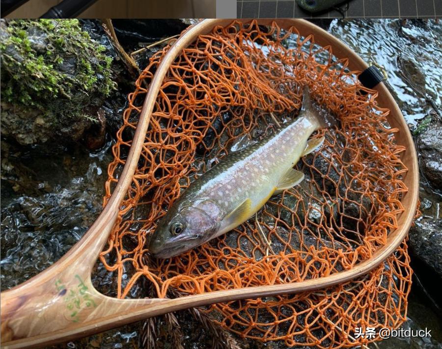 路亚微物装备搭配入门攻略,路亚微物钓鱼最重要的是什么