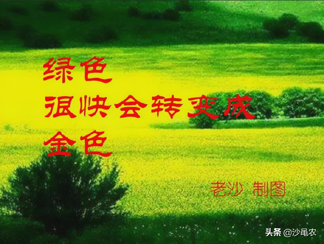 12.17周末股市消息汇总,12.16股市行情最新消息