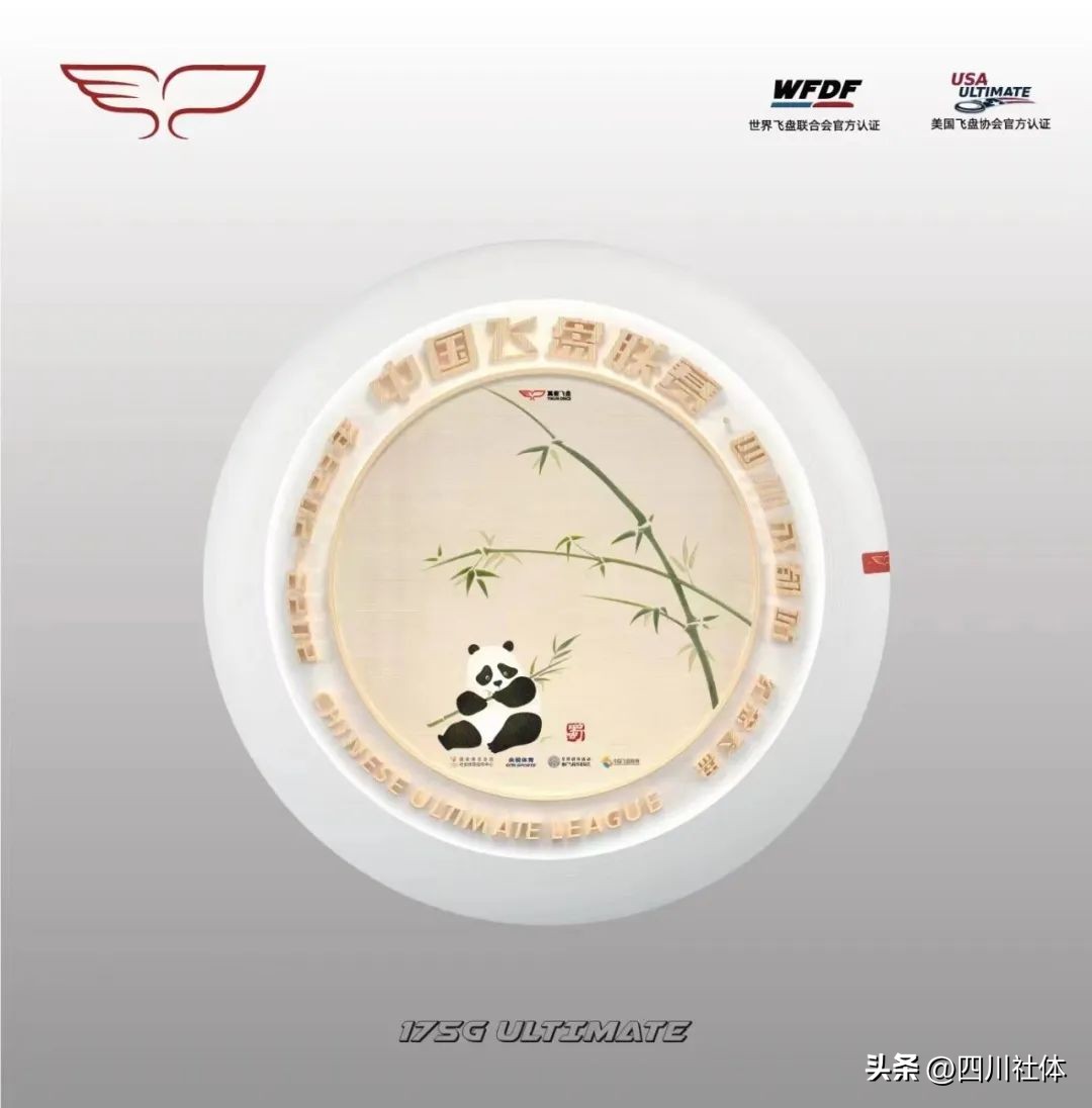 中国飞盘联赛总决赛回放,中国飞盘联赛西南大区决赛