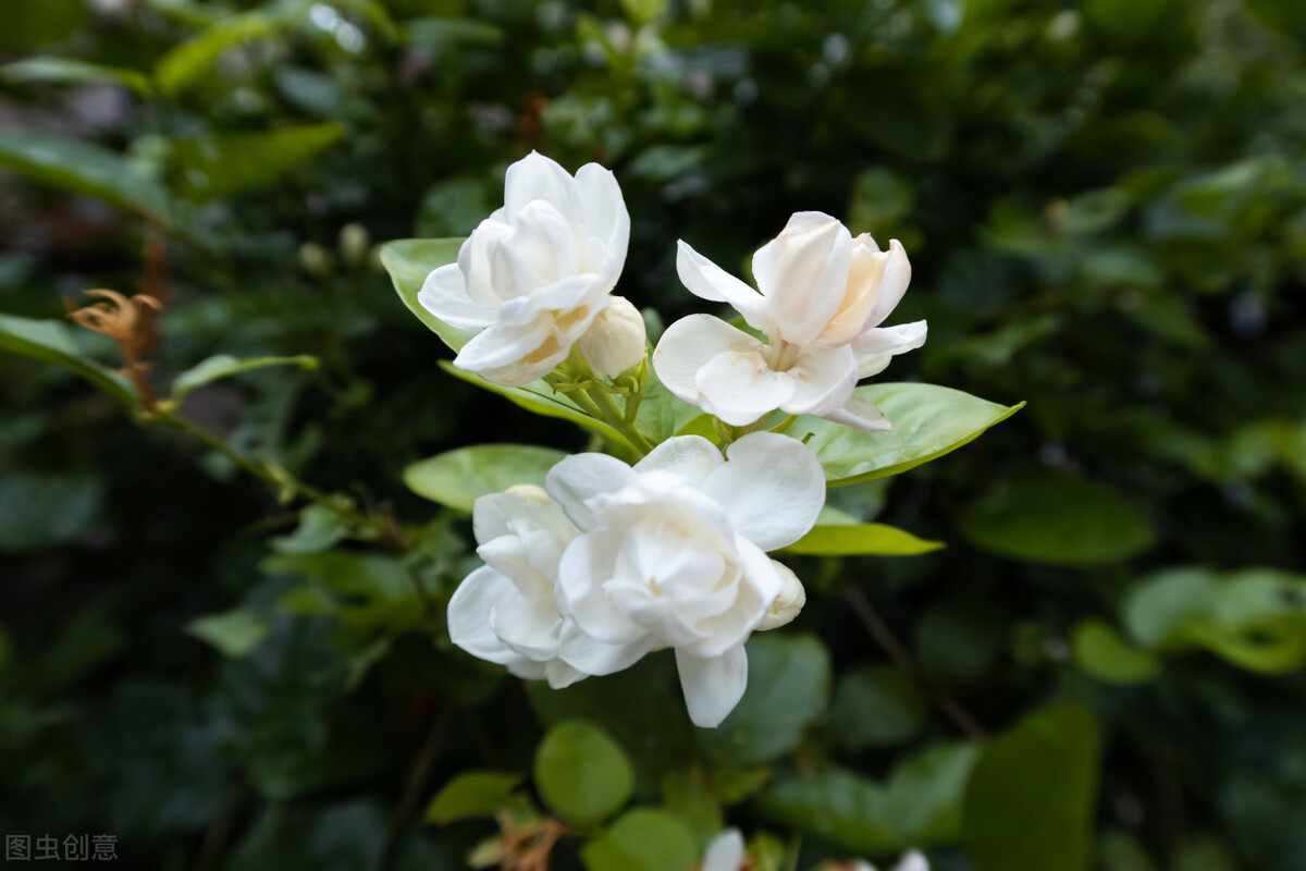 34岁男子相亲59次均失败,31岁男子相亲几十次均失败