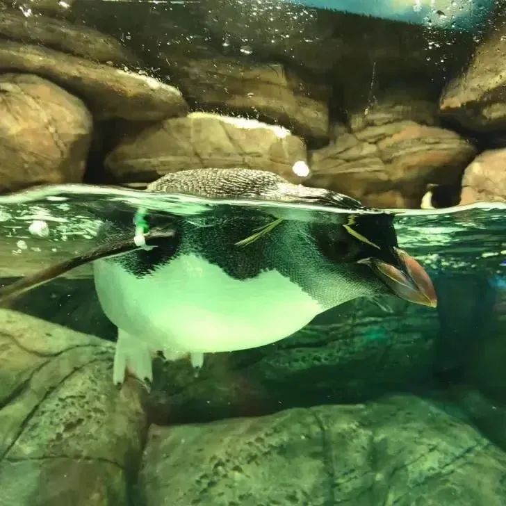 升！升！升！周末去这些地方打卡→