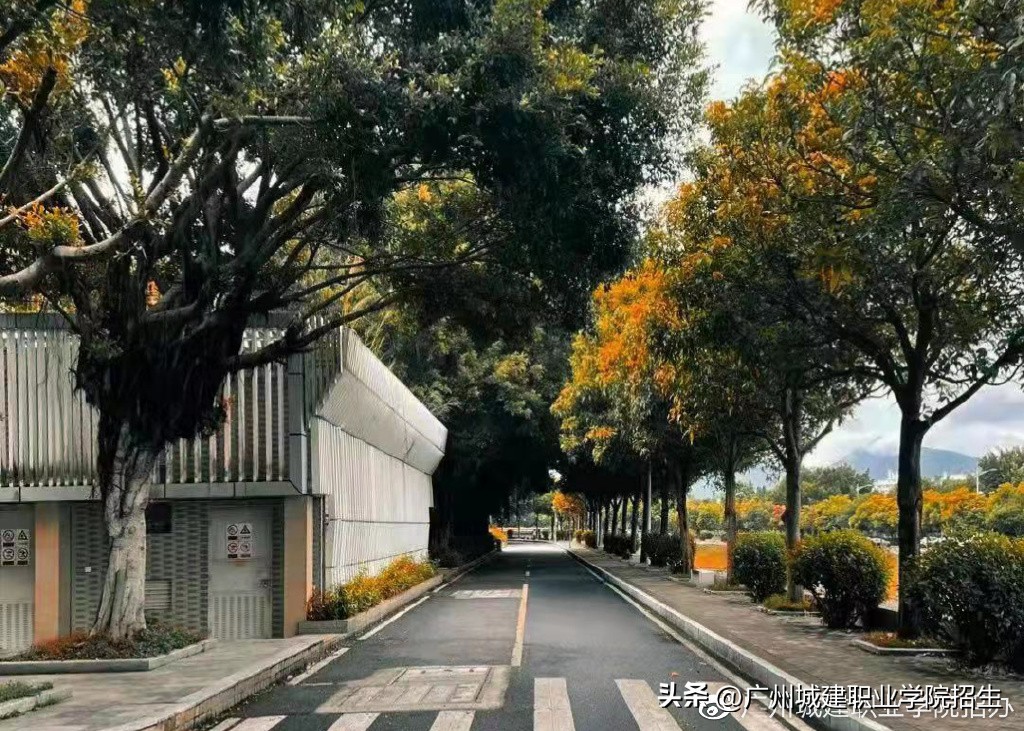 广州城建职业学院春季招生各专业,2024年广州城建职业学院自主招生