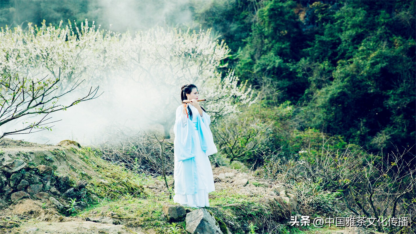 人生在世开心就好做喜欢的事,人生在世开心就好