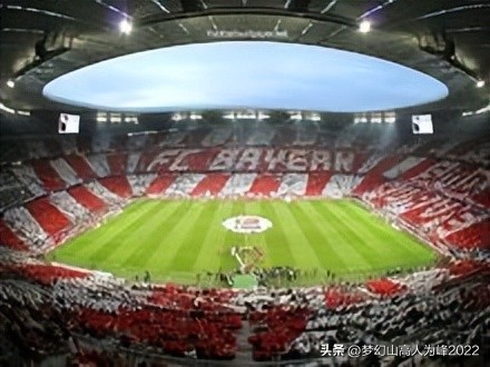 专业足球场草皮,专业足球场多大