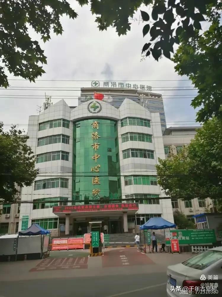 桃花在春雨中含笑翠竹在微风中舞蹈（腰市：李增强）