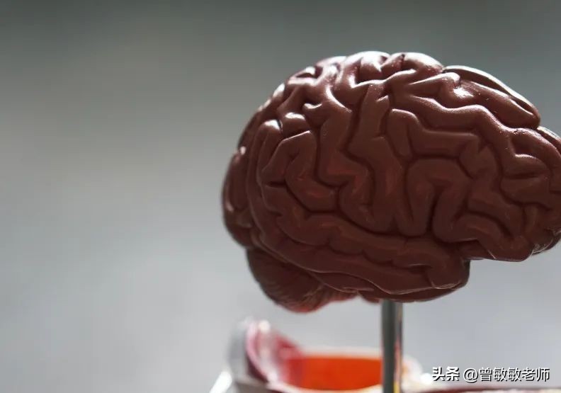 nature评2021科技十大突破,nature2021十大科学突破