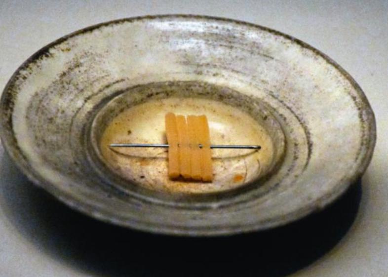 “滔滔迷所往，莫望指南针”，走进宋代发明指南针的创作灵感