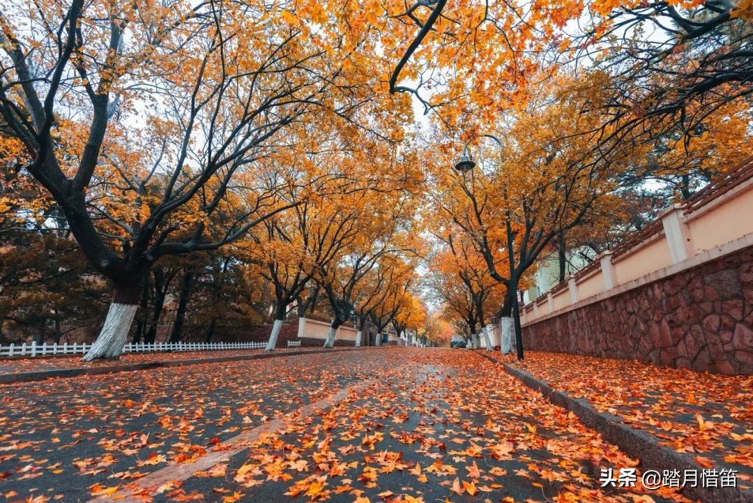 青岛被誉为北方明珠,青岛被称为东方瑞士的原因