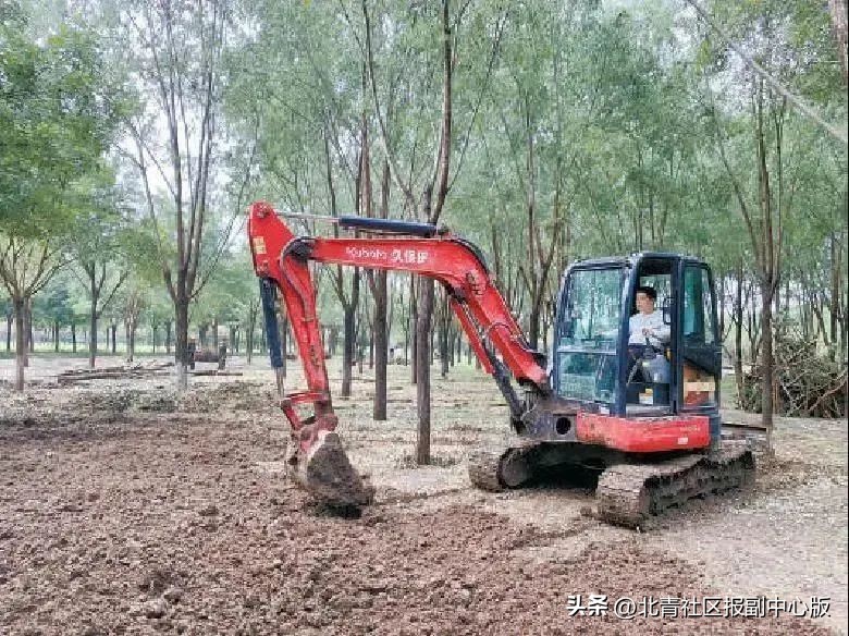 致富能手表彰,2022年度北京市农民增收致富能手