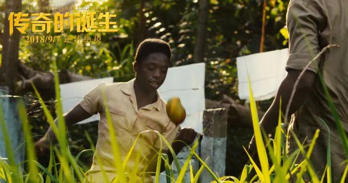 评论草根逆袭,球王贝利影评