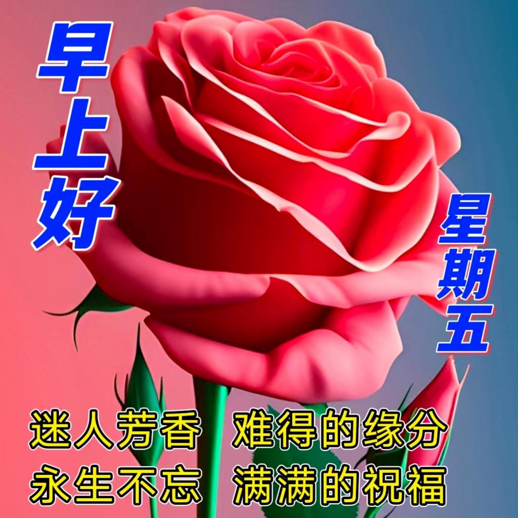 早安心语正能量语录简短句子图片,2020.12.9早安心语正能量走心语录