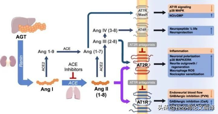 博士生看什么网站或者论坛,研究生博士生有空闲时间玩吗