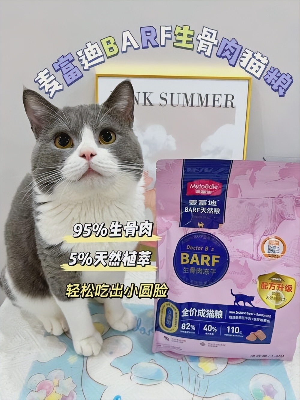 猫换牙齿,猫换牙会有什么症状