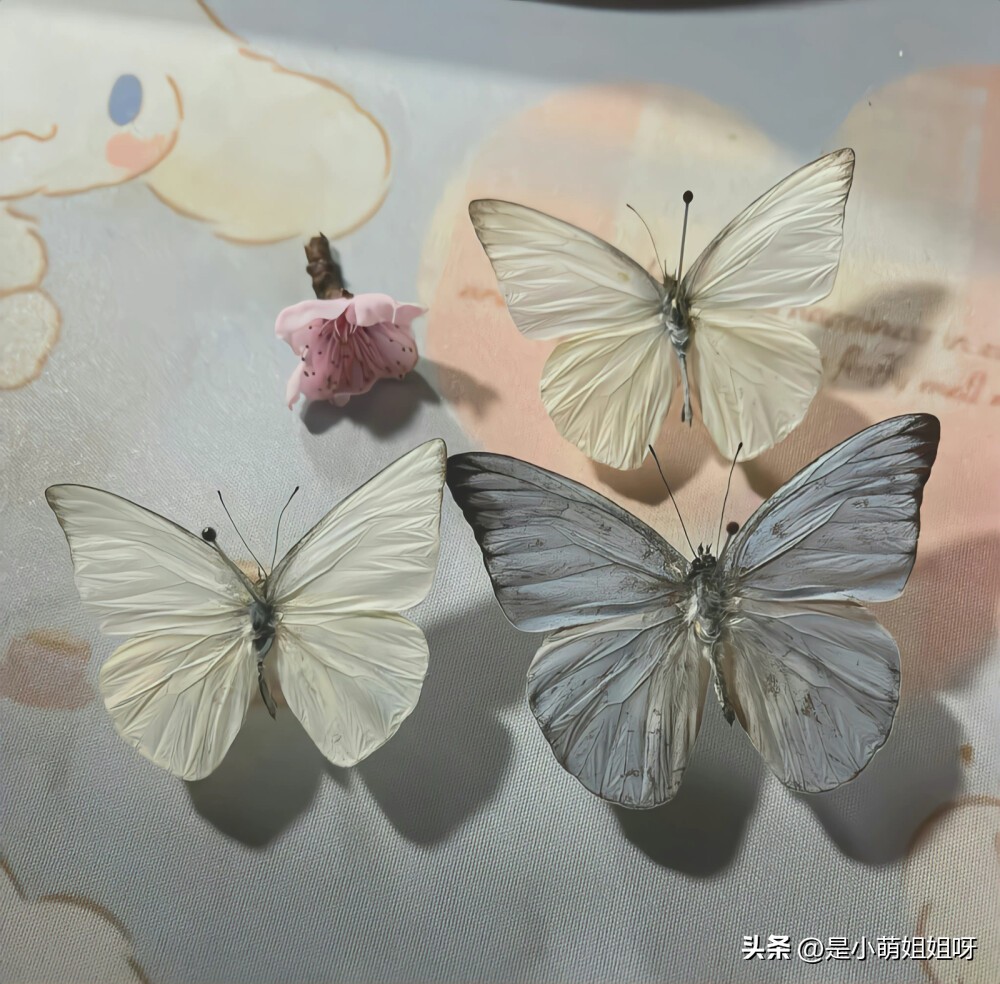 想努力赚钱的文案怎么写,写文案赚钱句子怎么写