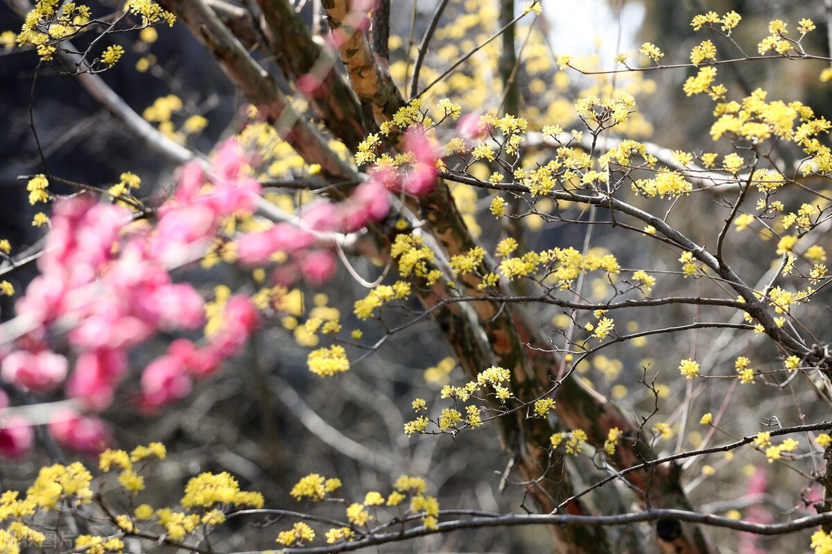 员工车辆保养费能税前扣除吗,私车公用保养费用谁来承担