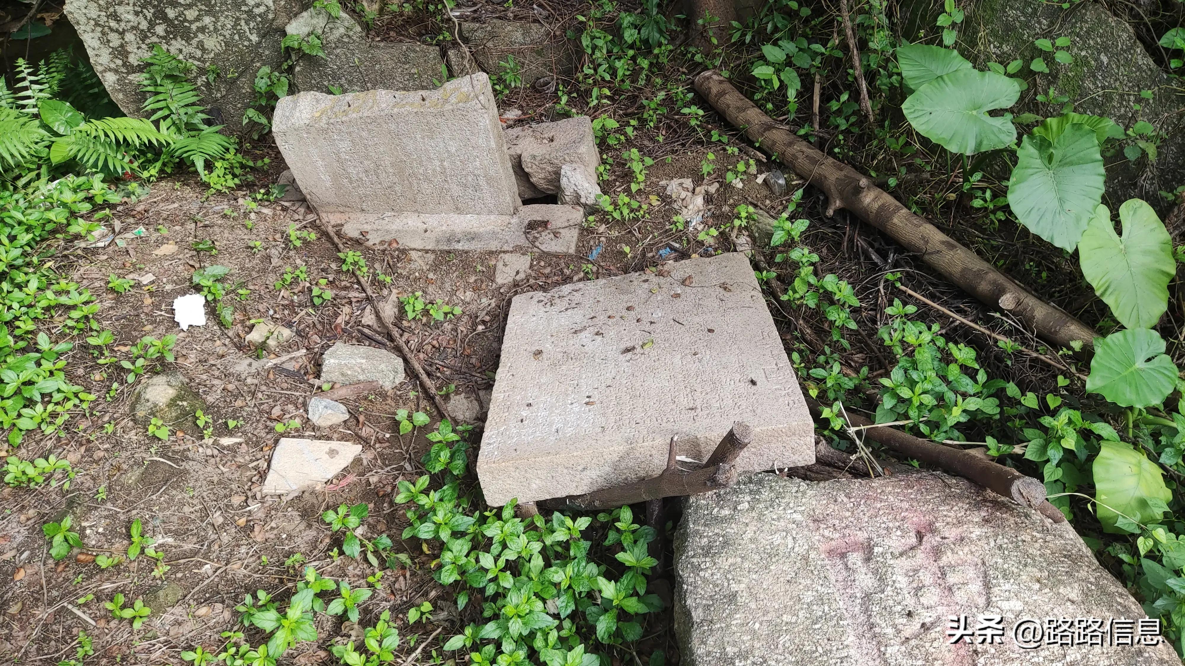 佛穗莞城际陈家林站,穗莞佛城轨陈家林站