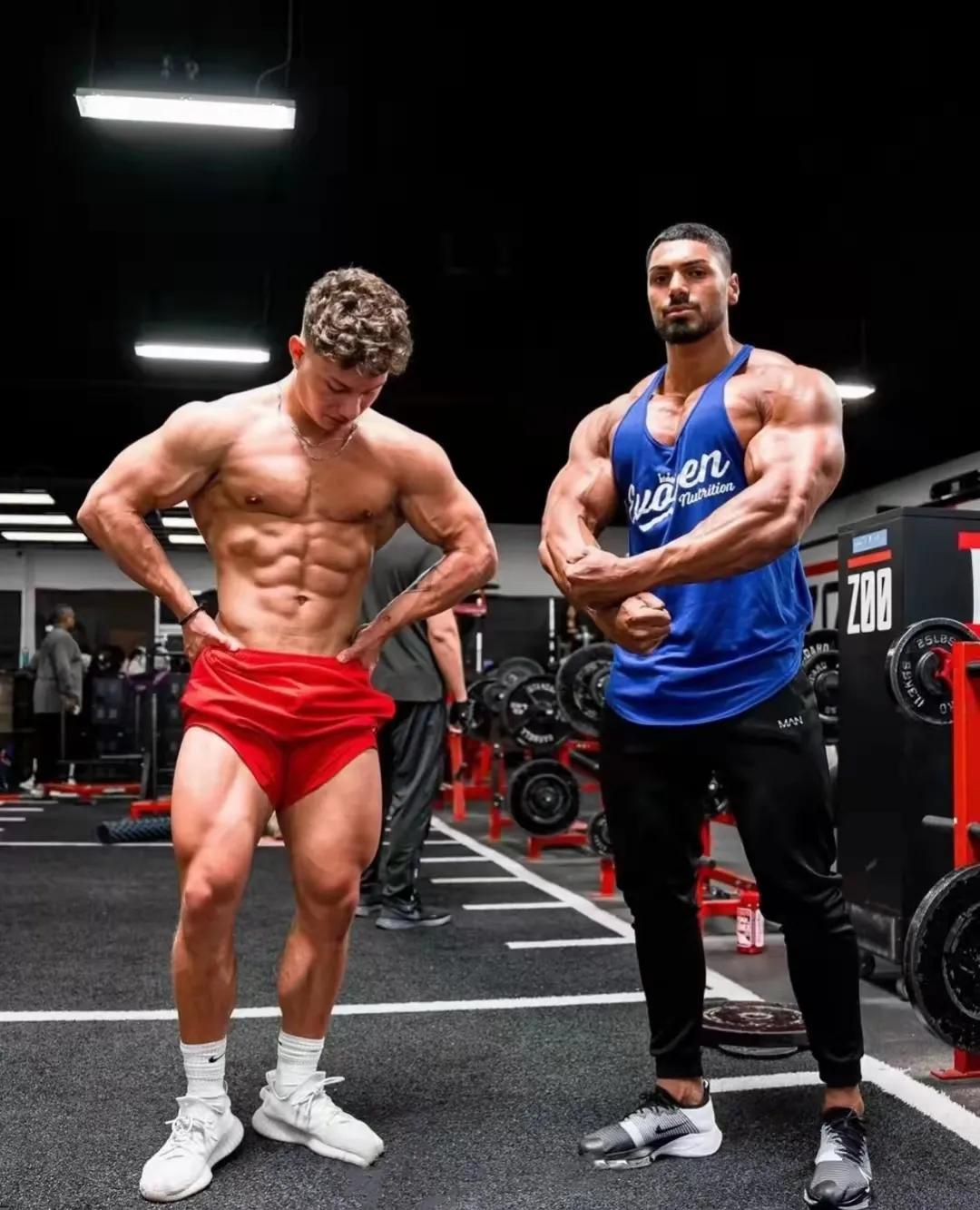 一周健身增肌训练计划,哑铃家庭一周训练计划