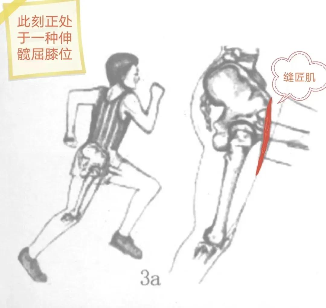 跑完步后大腿根骨头关节疼,跑完步走路大腿根部筋疼痛