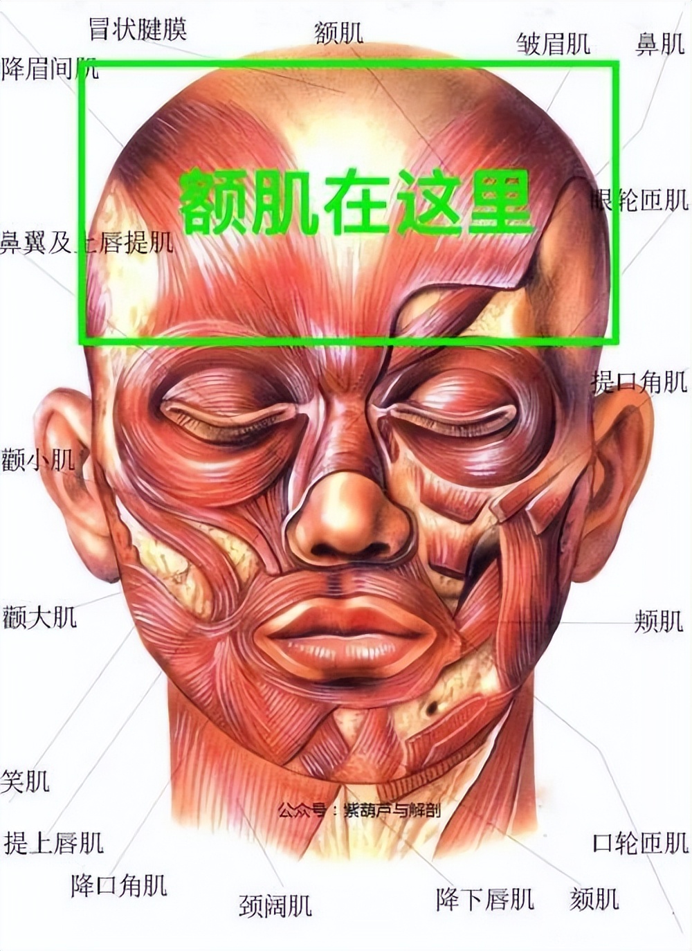 教你3天练出迷人的眼睛,如何让眼睛看起来有神又清澈