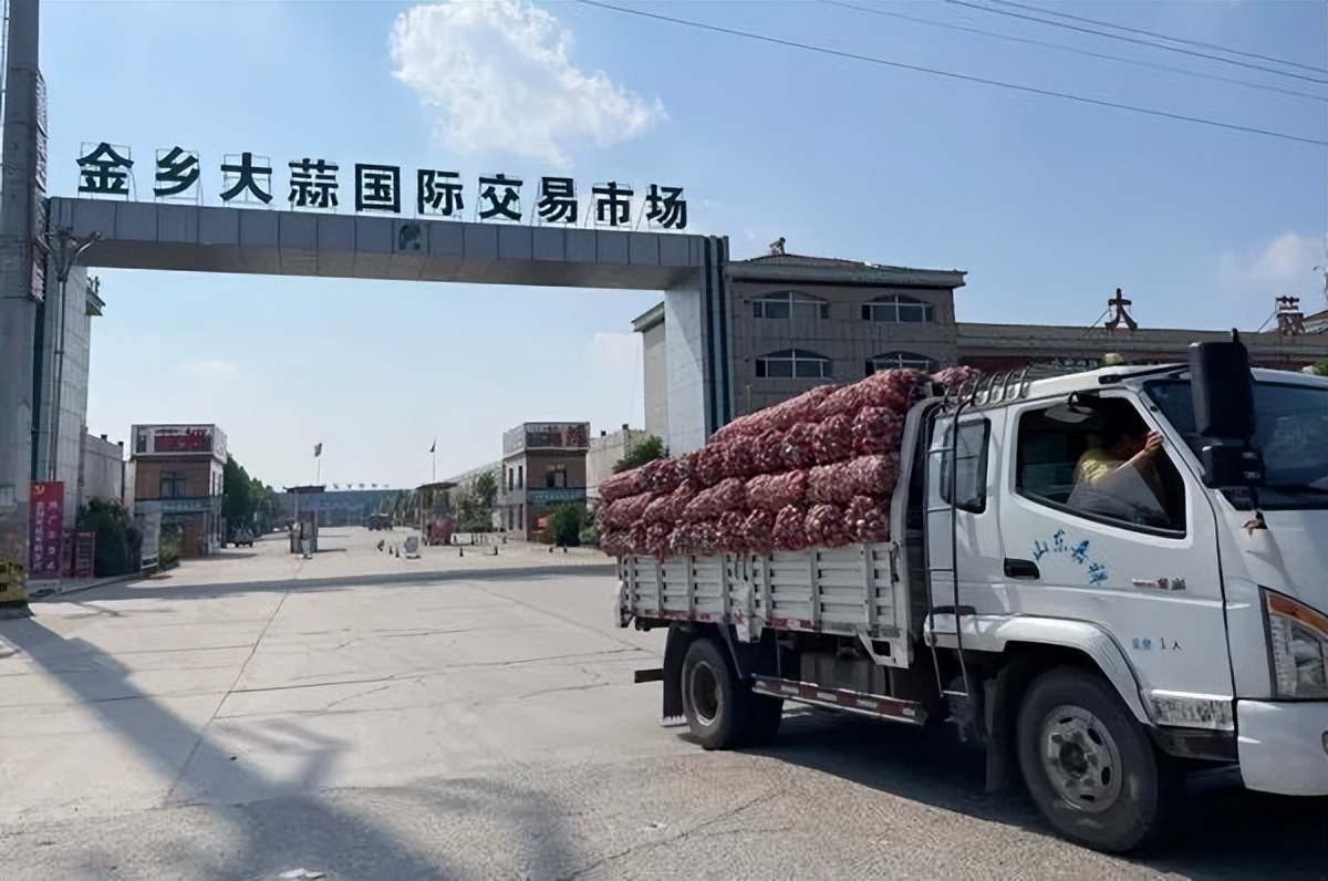 金乡大蒜产业链,近几年全国大蒜出口量