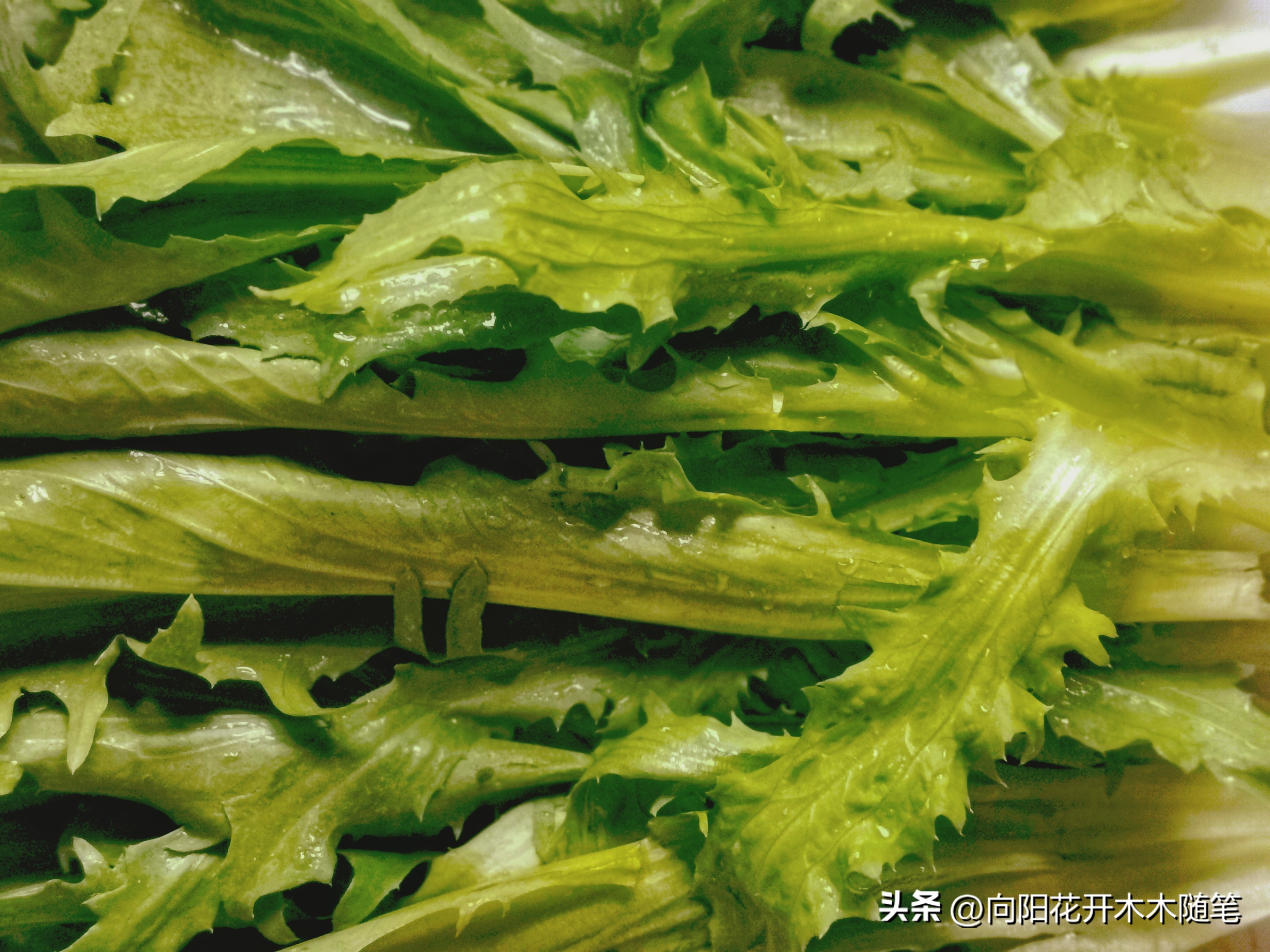 浦东美食排行榜茶餐厅,浦东高级美食排行榜