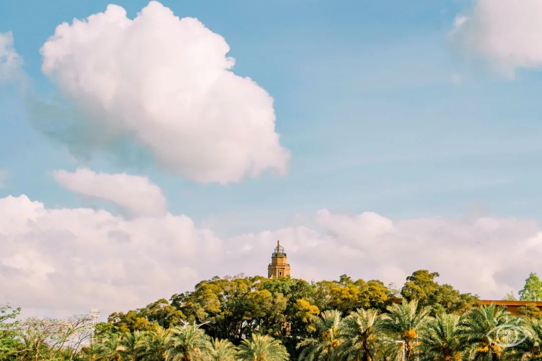 深圳小众好玩的景点排名榜,深圳小众海边旅游