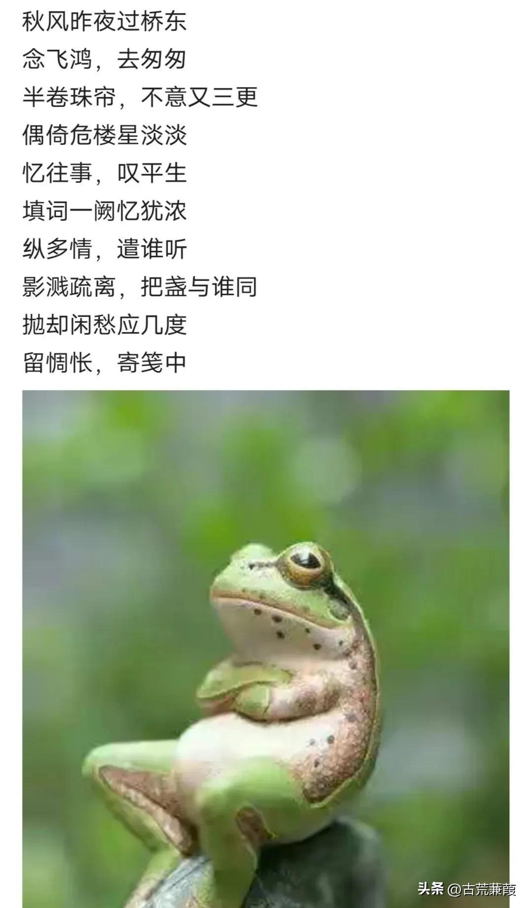 岁月匆匆流逝可曾为谁停留,时光何曾为谁逝岁月未曾为谁留