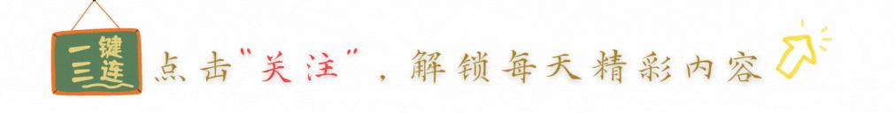 2024年最新的网红玩具,2024年新的网红玩具