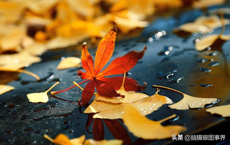 你拍的照片不够唯美,你拍的照片不清晰是怎么回事