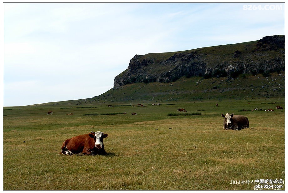 内蒙古自驾游达里诺尔,内蒙古达里诺尔湖旅游视频