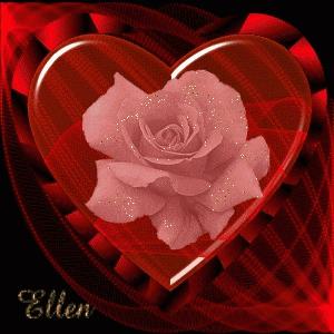 分享一束花图片,分享照片愿你遇到的都是美好