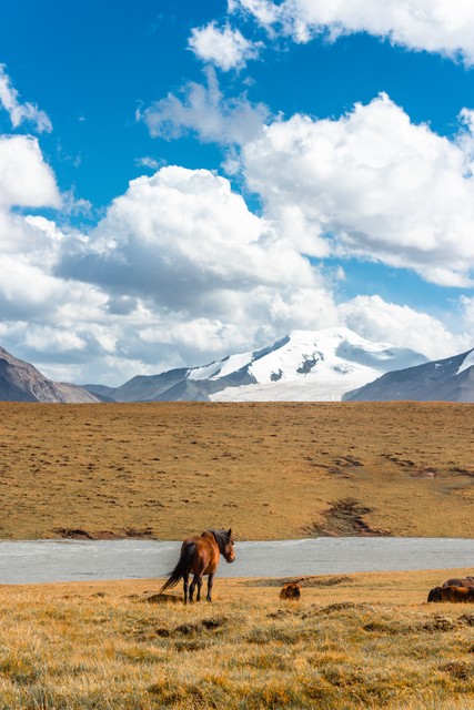 身心放松的催眠练习,放松身心的冥想声音