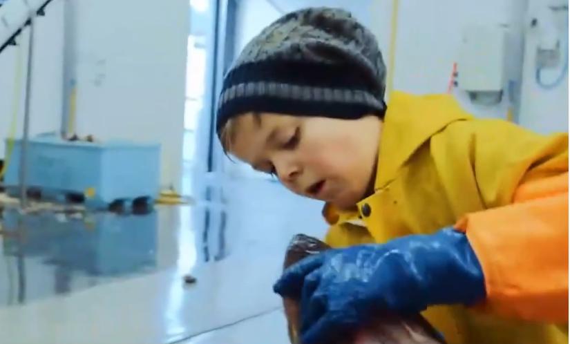 这就是挪威人的童年：10岁就可以靠自己买游艇，中国小孩羡慕哭了