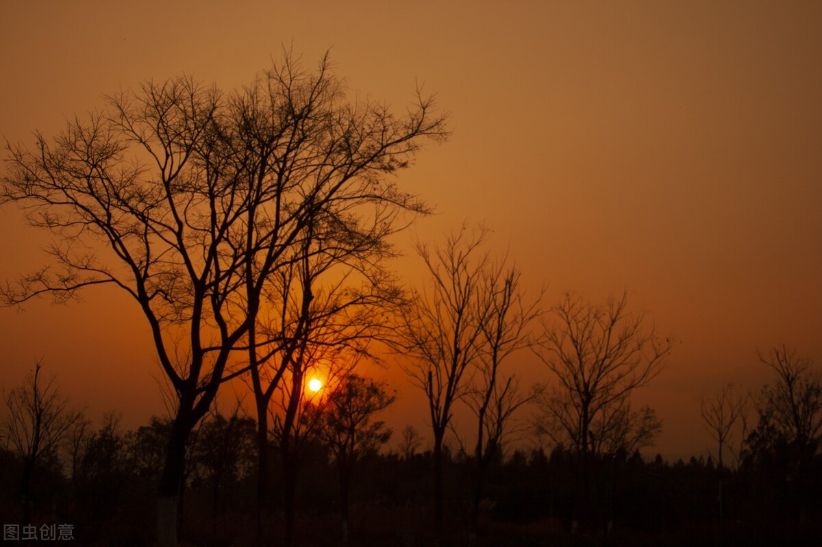昆明星海半岛湿地公园免费开放吗,昆明的十大湿地公园有哪些好玩的