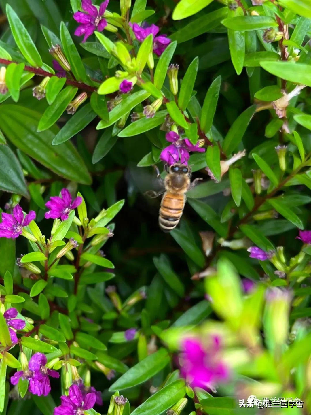 「静听山雨」达兼济天下,穷不忘天下