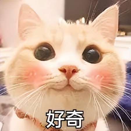 英国为什么可以四个球队参赛,英国为什么分四个国家足球联赛