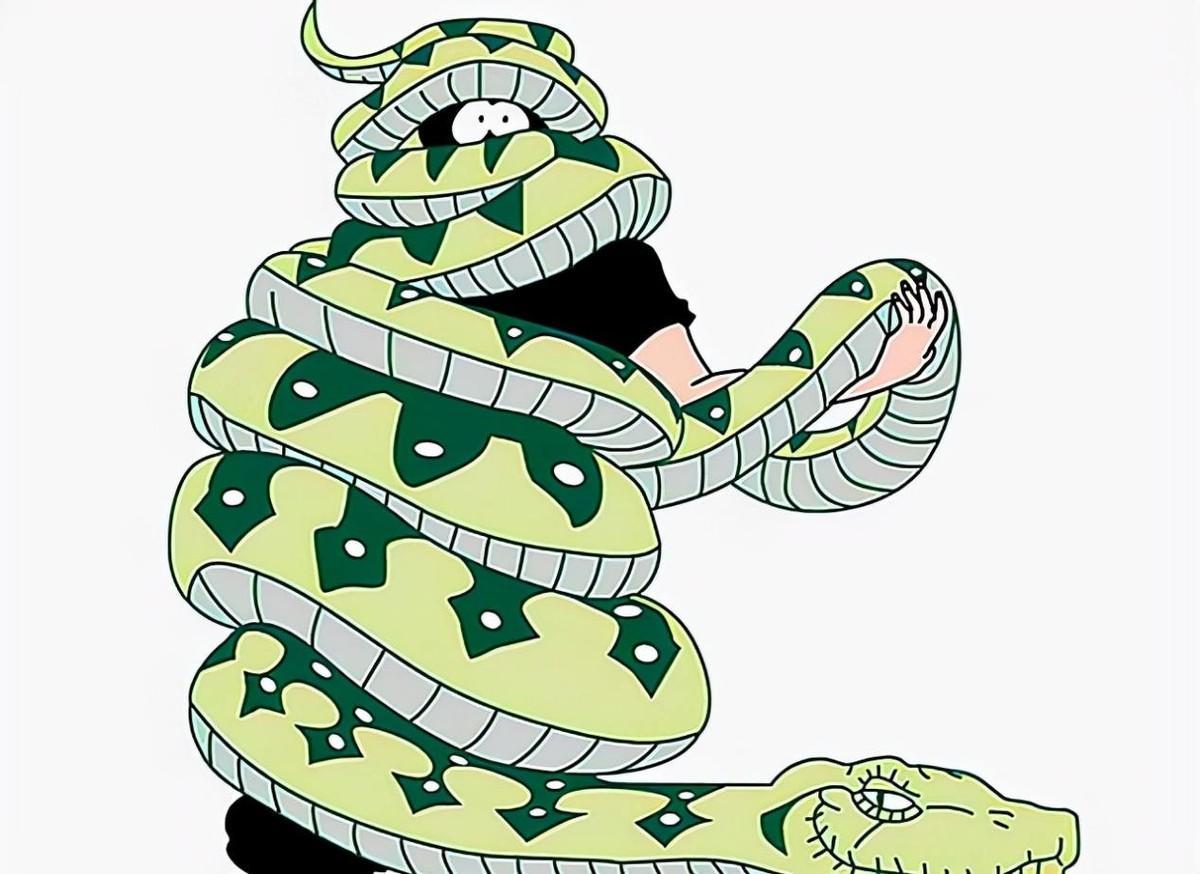 海南巨蟒为报恩甘愿当保姆,两名男子救下巨蟒