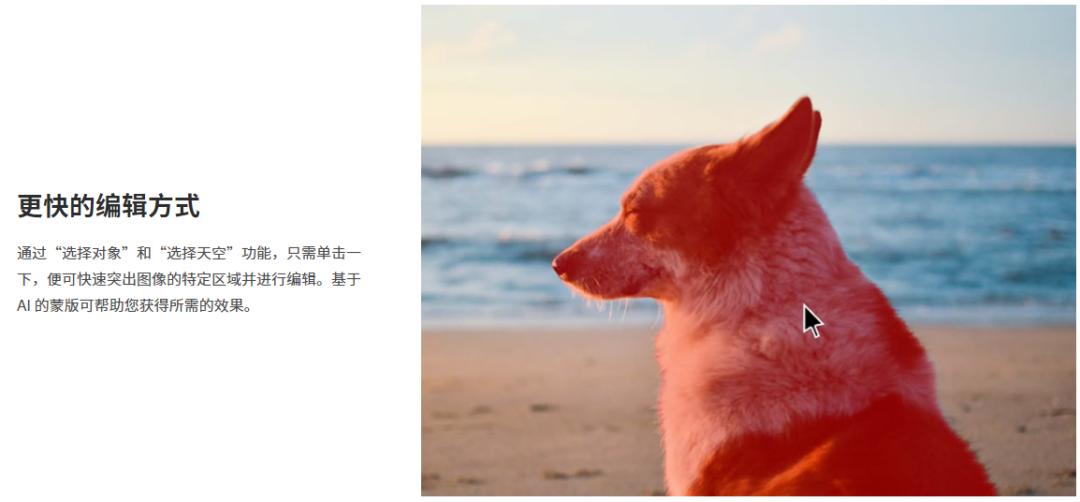 adobe将你的操作系统更新到最新版,adobe最新版对macpro要求