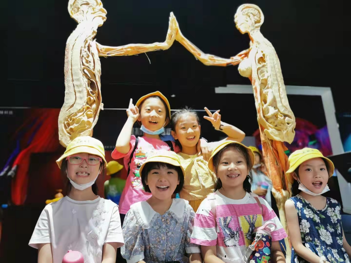 郑州人体科学馆要门票吗,郑州适合带孩子玩的博物馆科技馆