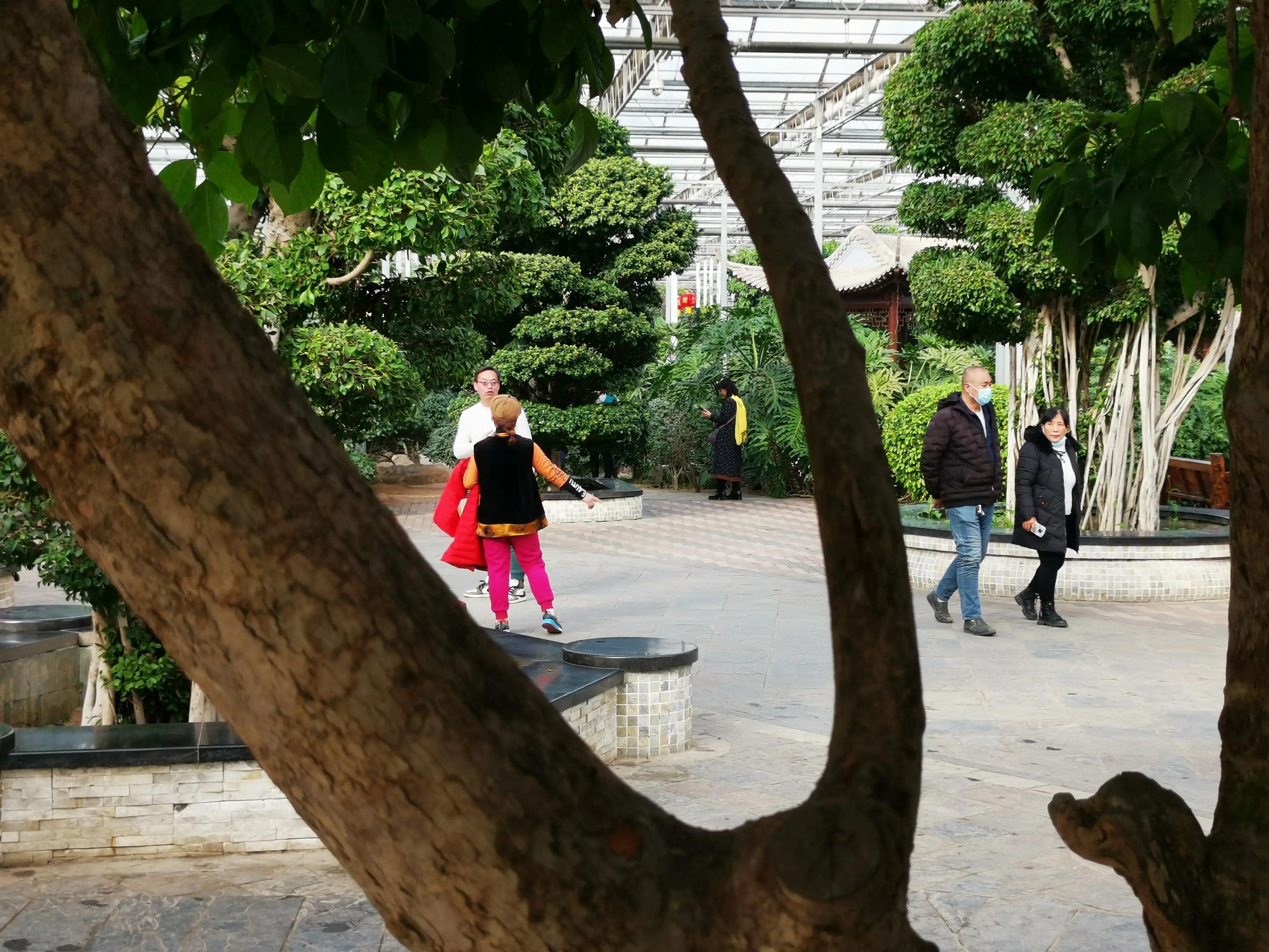 九天休闲谷最新消息,九天休闲谷门票