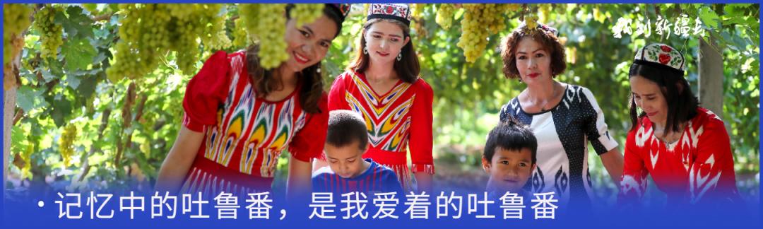 入疆旅游攻略,环疆旅游攻略大全