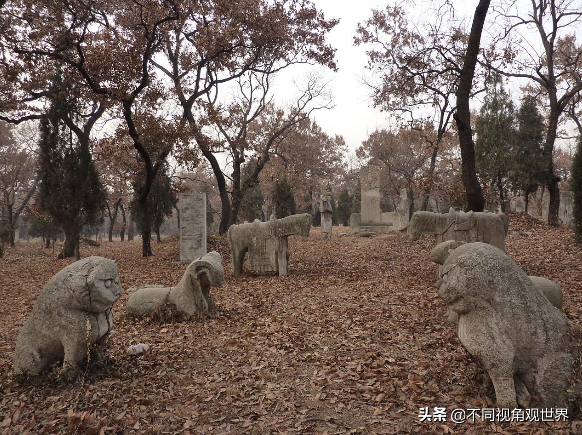 孔府孔林观赏地点,孔府孔林是什么地方