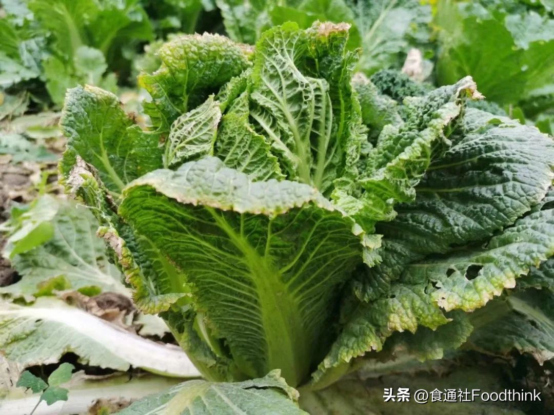 六个人被封在办公室的七天七夜(附物资清单和健康攻略)