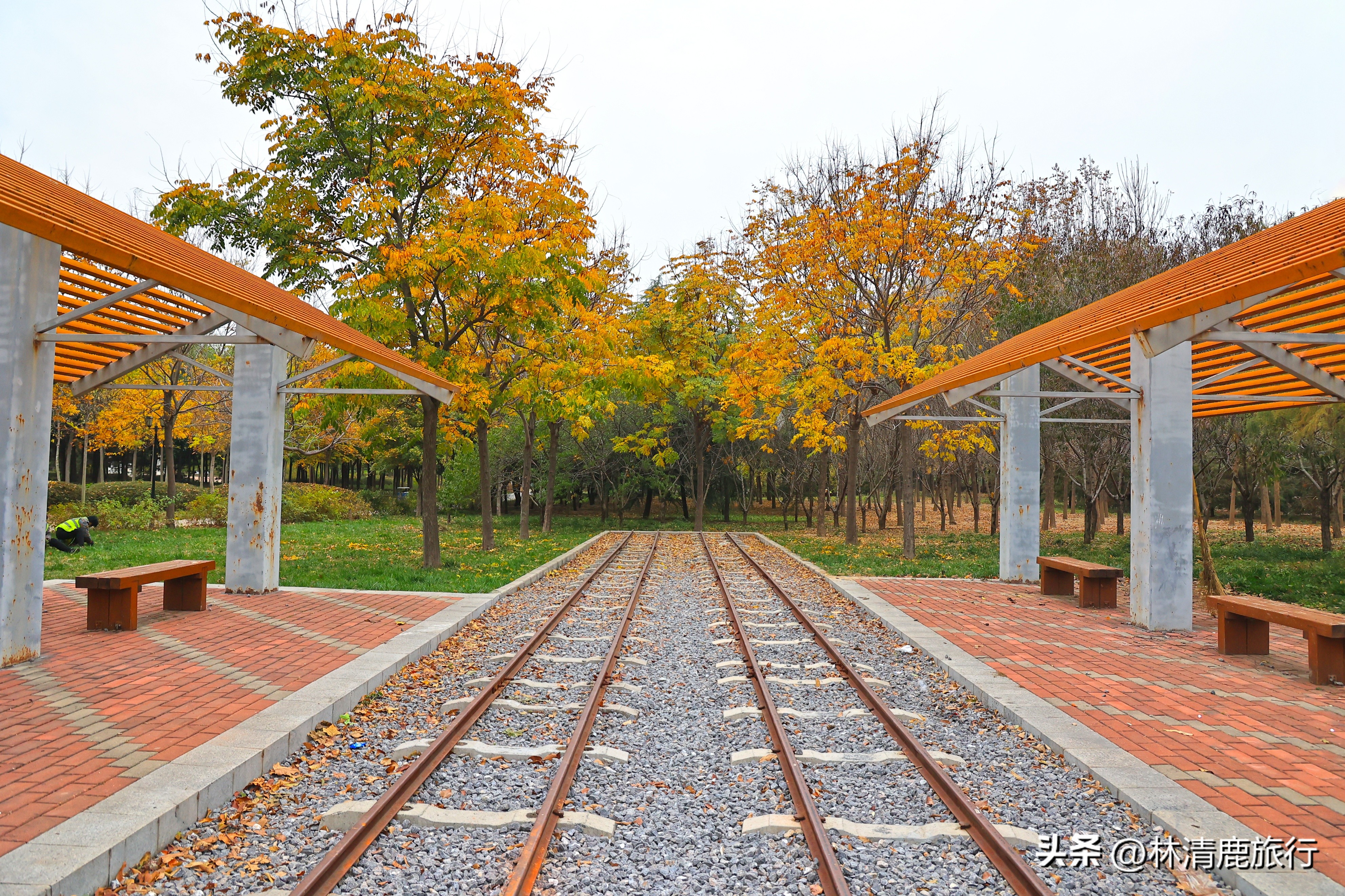 郑州哪个公园有火车,郑州有铁轨的公园