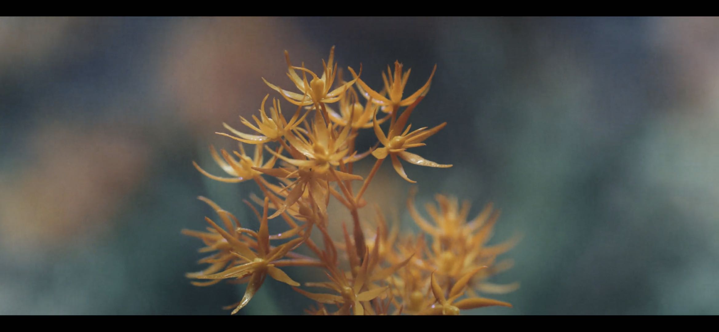 唐朝诡事录什么时候第二季,唐朝诡事录第一季第16集